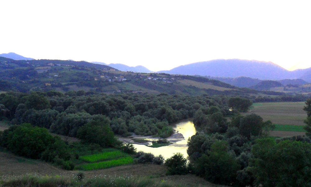 Zone Umide importanti per biodiversità e paesaggio: a Benevento più attenzione per il bosco igrofilo di Serretelle – NTR24.TV