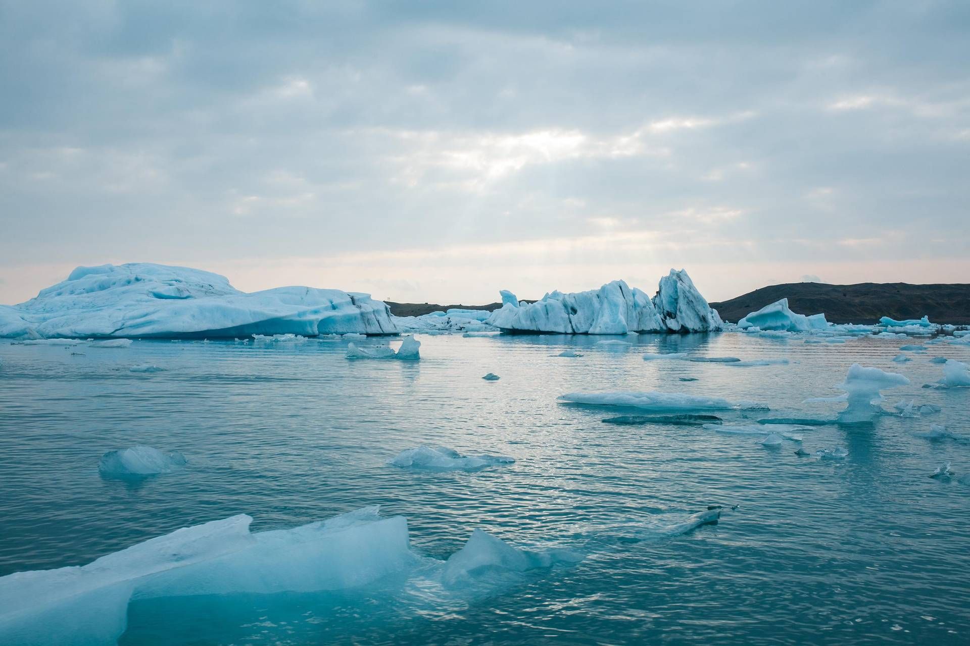 Mai così caldo anche a gennaio 2025: Copernicus certifica nuovo record