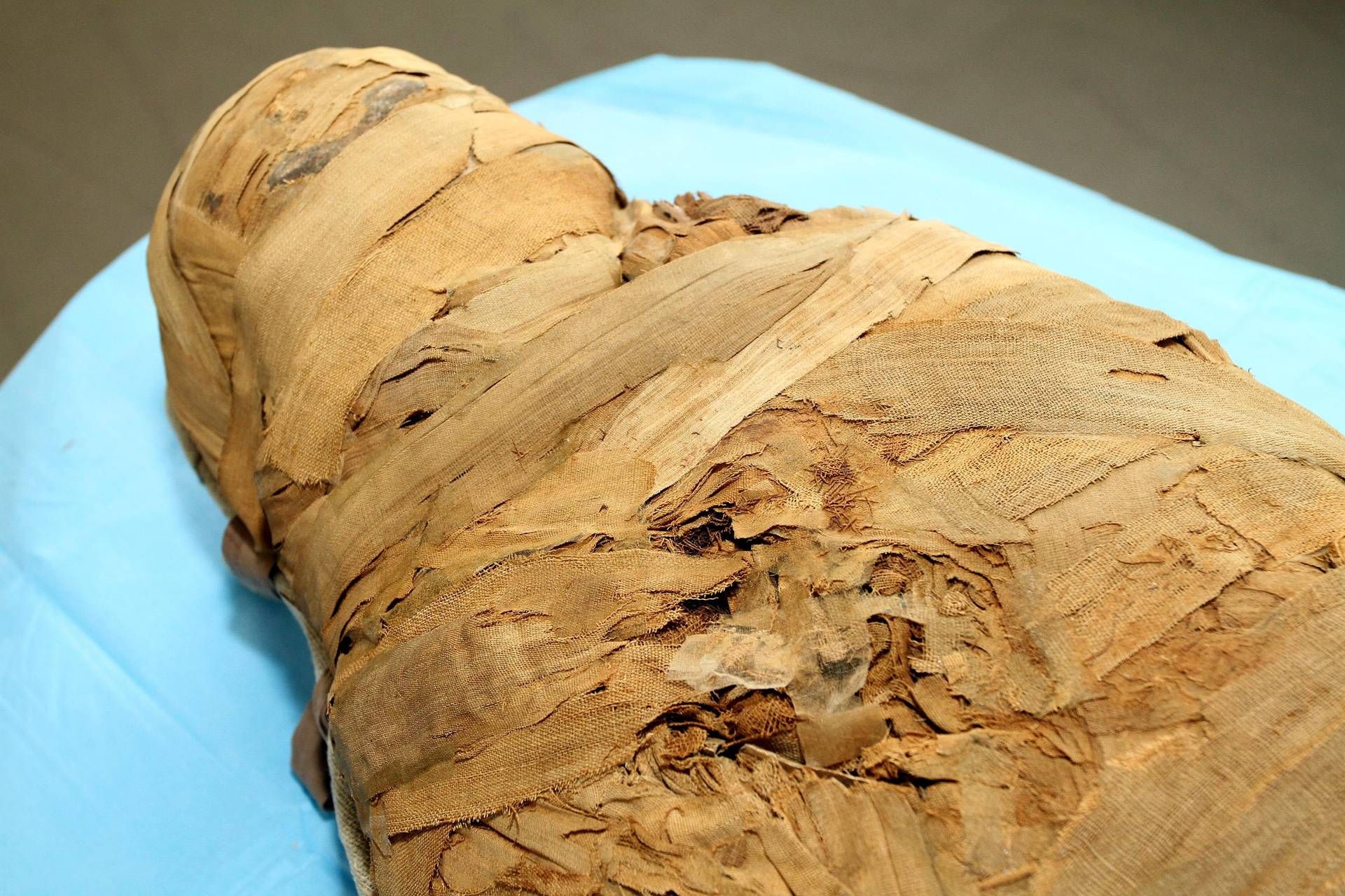 scoperto odore delle mummie egiziane