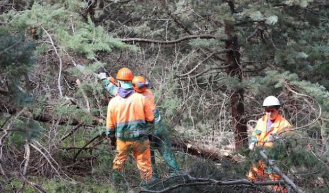 Idraulici forestali, UILA: “Chiediamo dignità e stabilità per i lavoratori sanniti” – NTR24.TV