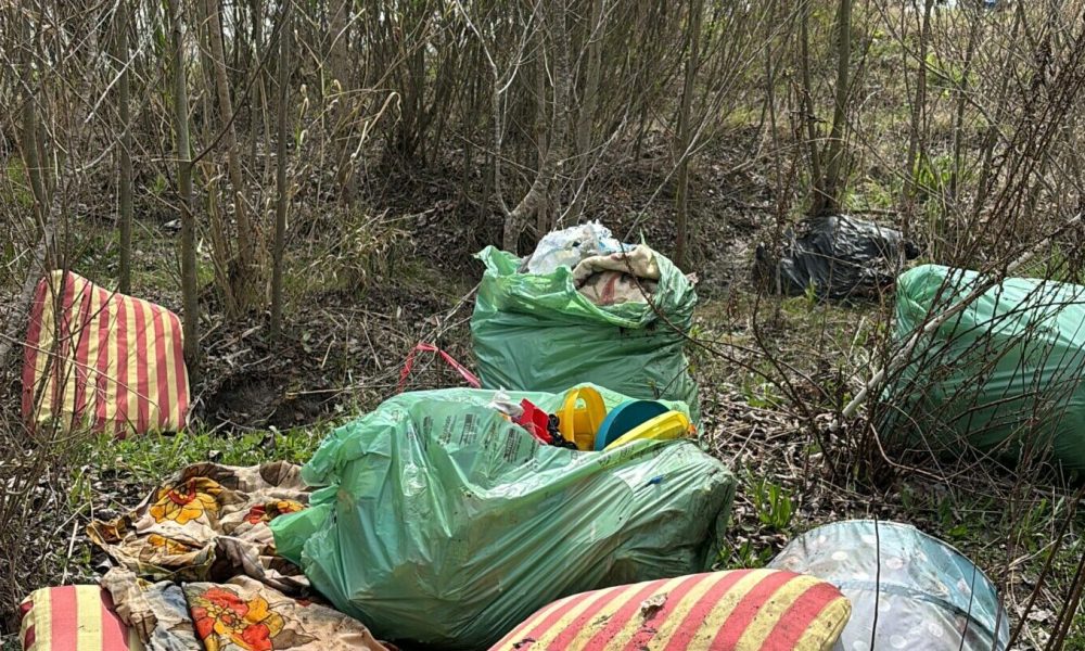 “PuliReino”, cittadini e associazioni in campo per l’ambiente – NTR24.TV