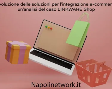 evoluzione delle soluzioni per integrazione e-commerce analisi del caso LINKWARE Shop