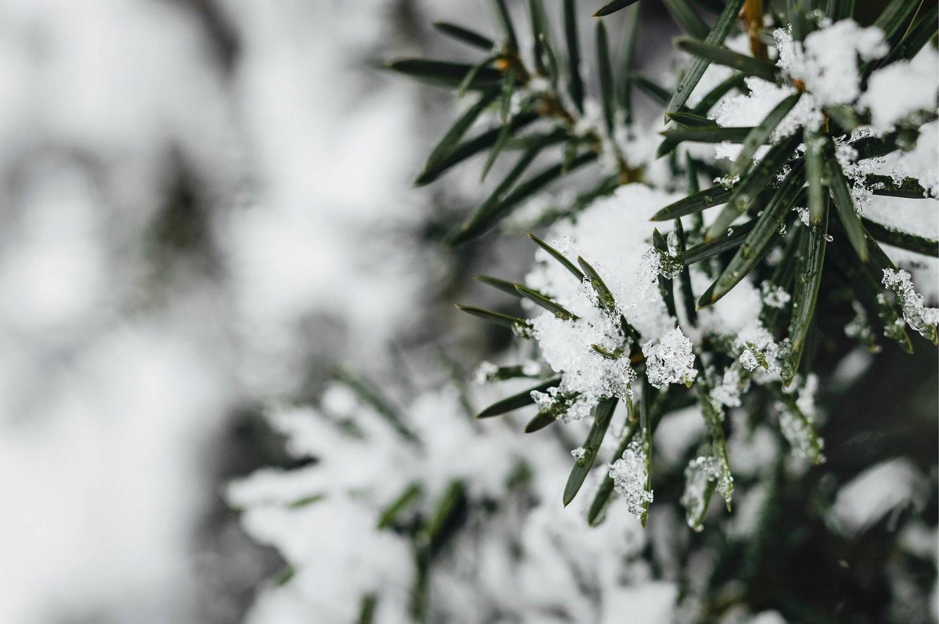 Torna l’inverno in Italia, temperature giù di 10 gradi: ecco dove fa freddo