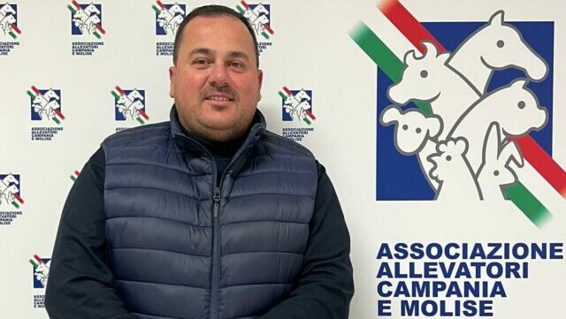 Davide Minicozzi riconfermato presidente dell’Associazione Allevatori della Campania e del Molise – NTR24.TV