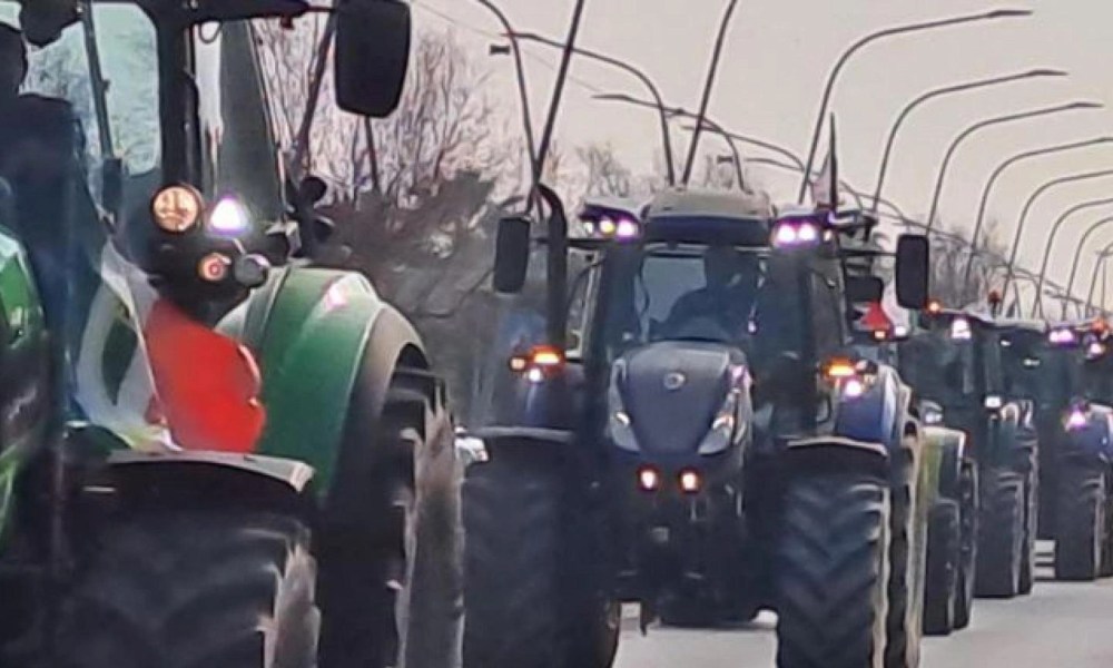 Coldiretti, agricoltori del Sannio a Parma in difesa della salute degli italiani – NTR24.TV